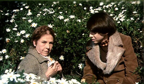 Harold-and-Maude-3